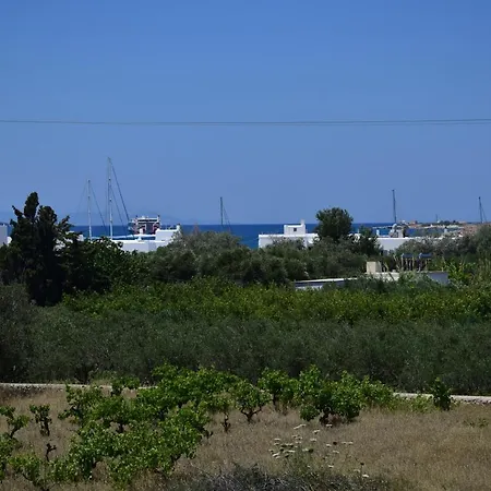 Lovely View דירה *